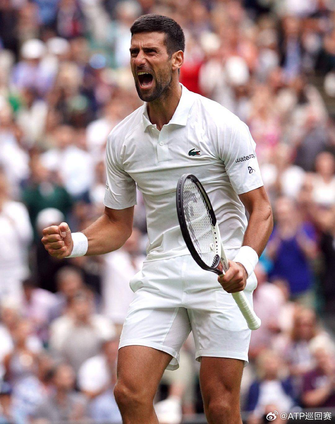 应对复杂的 应对复杂的