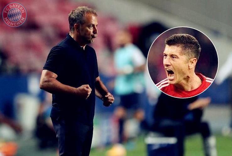 成功案例可 成功案例可