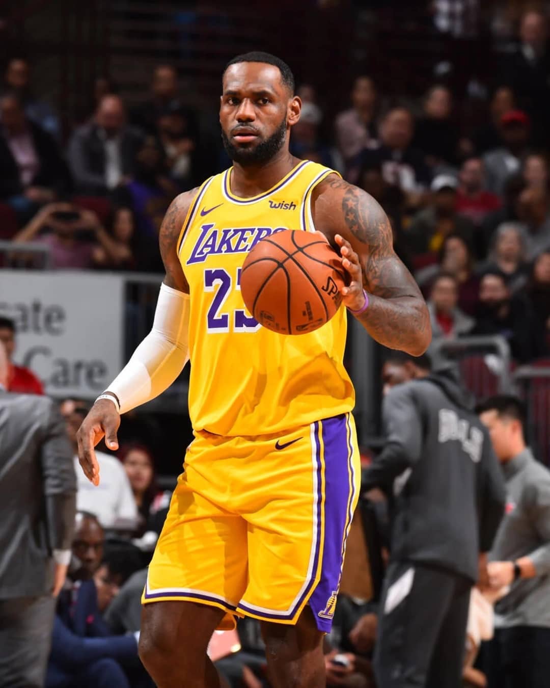 下注行为是 下注行为是